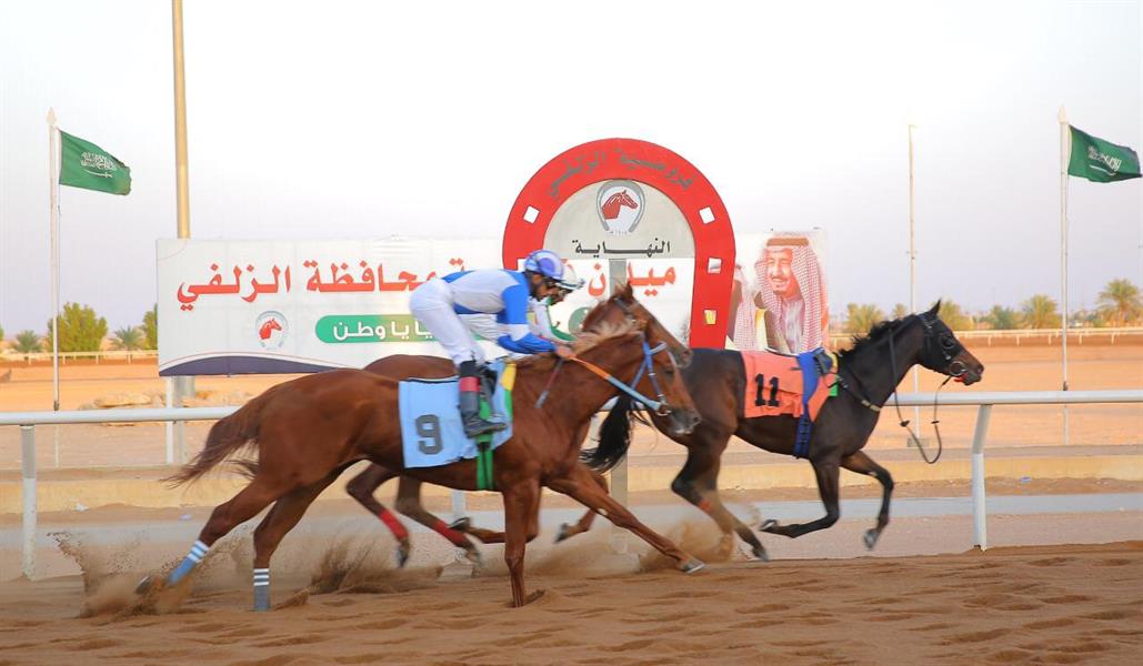 فروسية الزلفي تُقيم سباقها الـ17 على كأس وجوائز دعم نادي سباقات الخيل للميادين