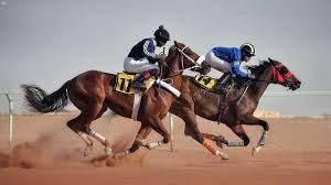 فروسية حائل تقيم حفل سباقها الحادي عشر غداً