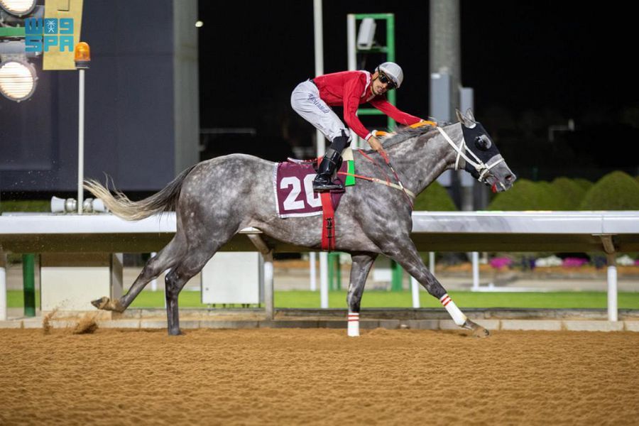 DST_1688109_3063564_26_4_2022020615365919