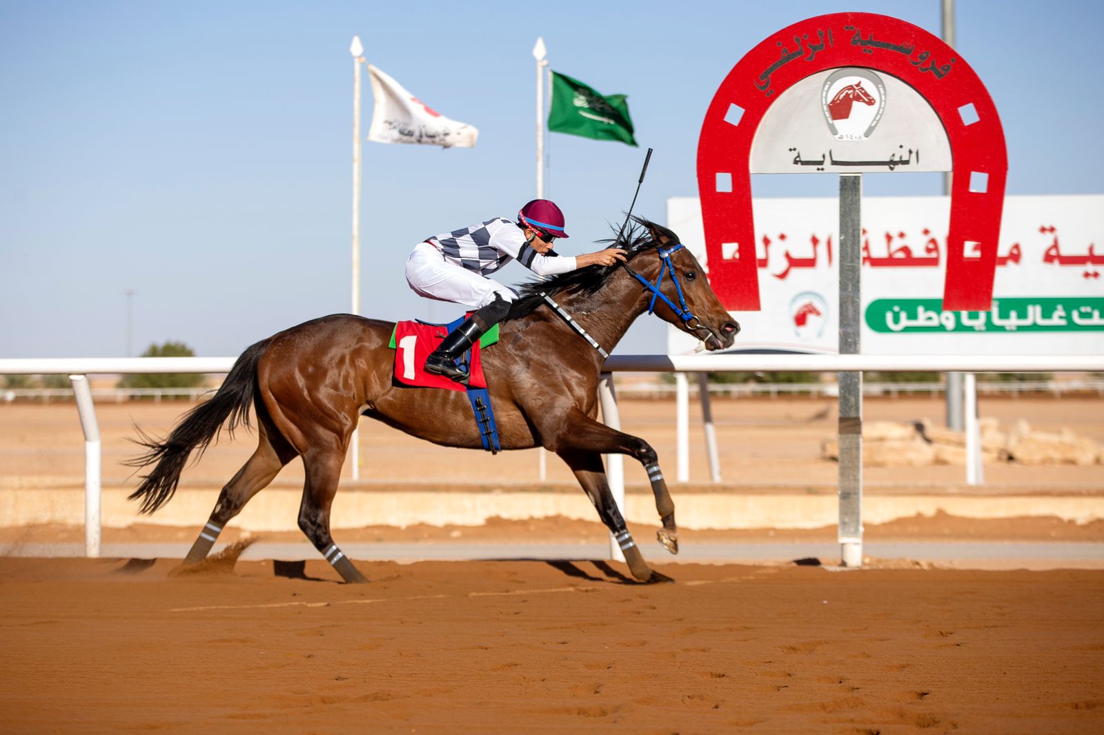 فروسية نجران تقيم سباقها الـ 16 على كأس ودعم نادي سباقات الخيل