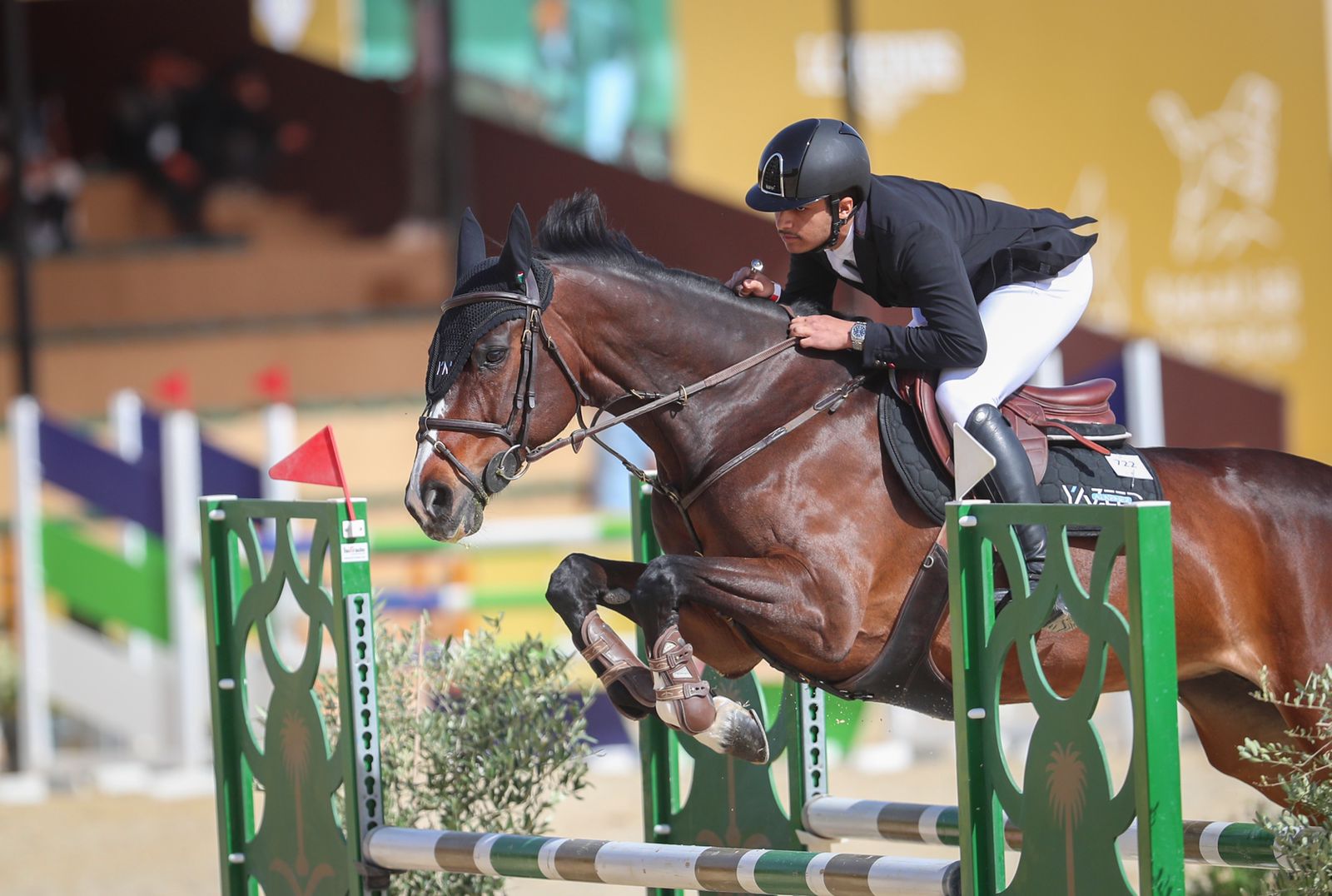 أعمارهم أقل من 21 عاماً .. والنمر أول الأبطال الاتحاد السعودي يقدم 25 صاعداً في "قفز الحواجز"