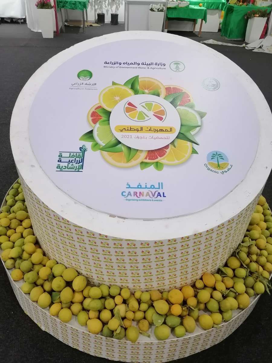 IMG-20211218-WA0005-1