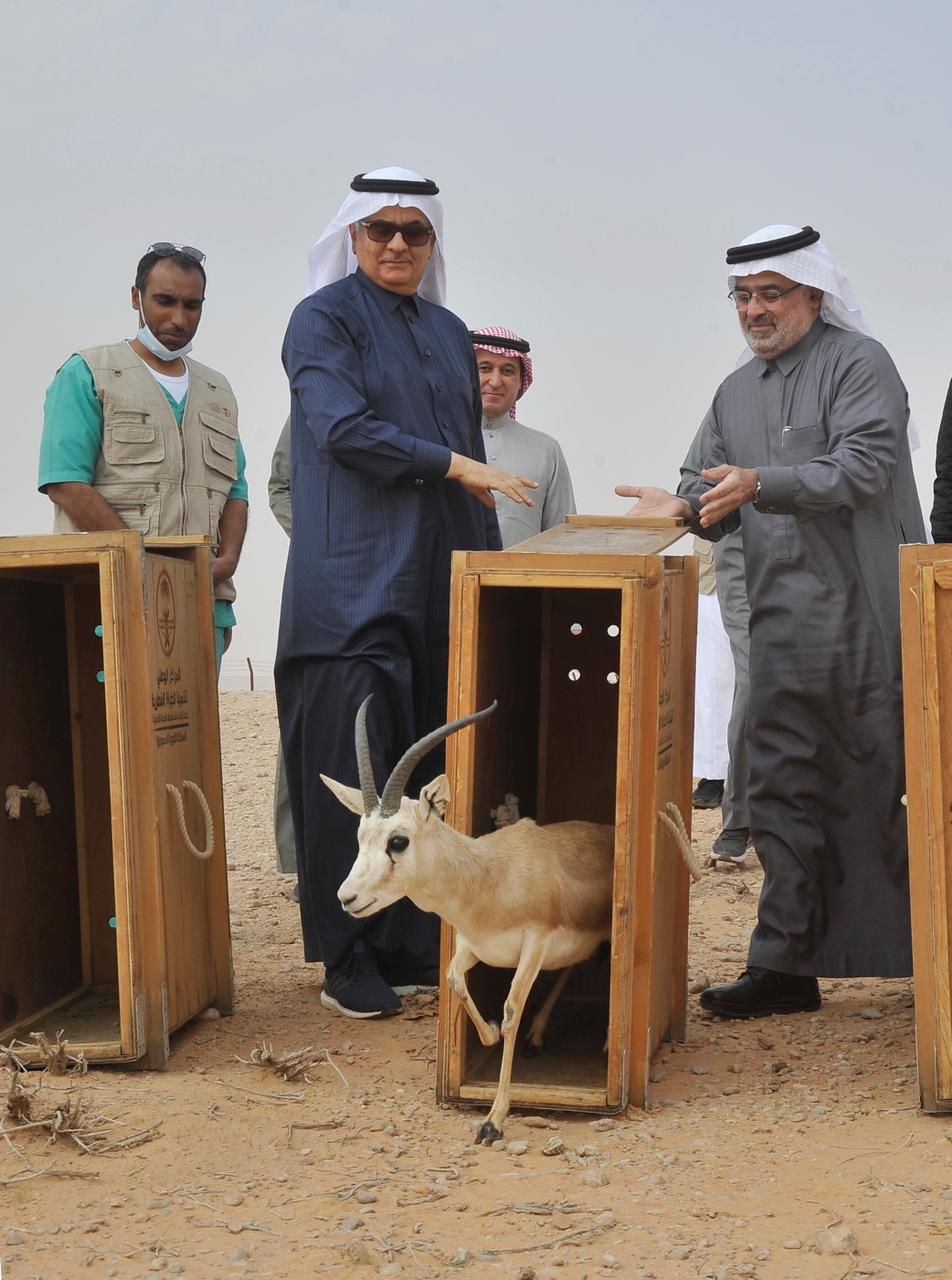 وزير "البيئة" يتفقد سير العمل في مركز الملك خالد لأبحاث الحياة الفطرية ويفتتح العيادة البيطرية ومختبر التحاليل