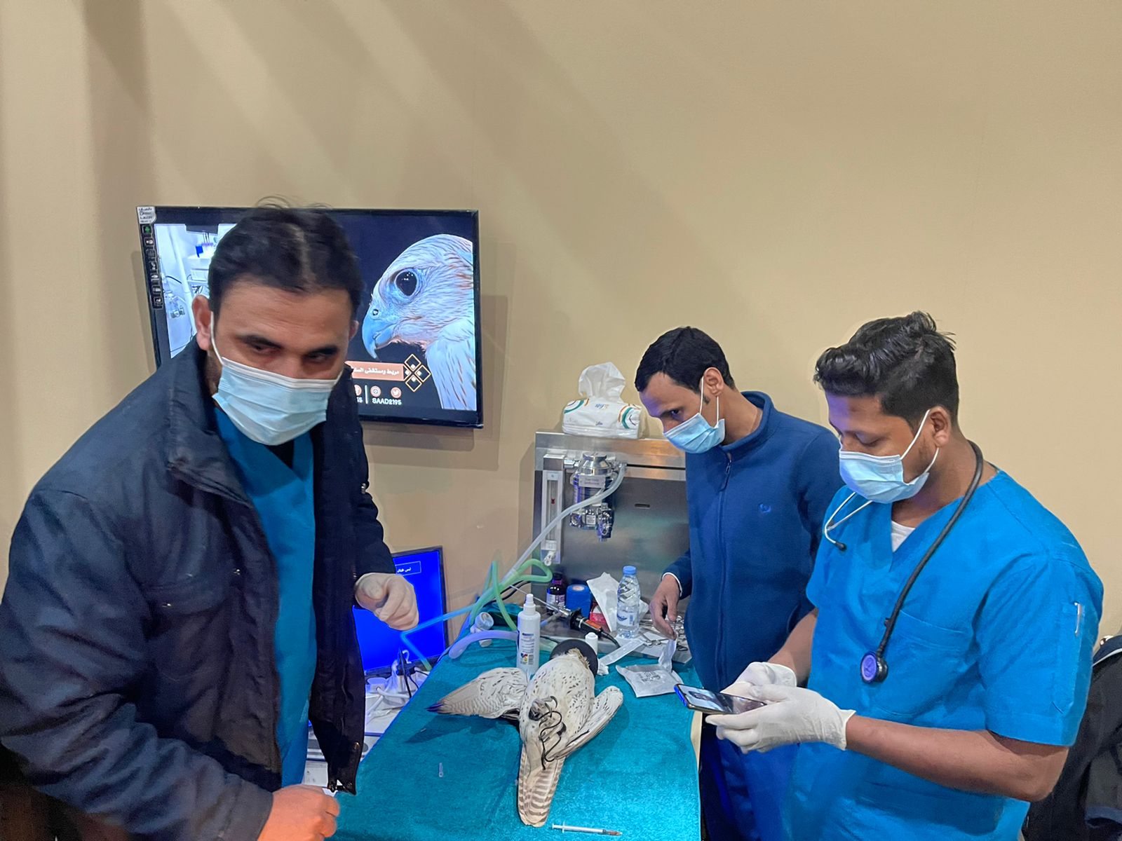 مكتب وزارة البيئة والمياه والزراعة يشارك في مهرجان الصقور السابع