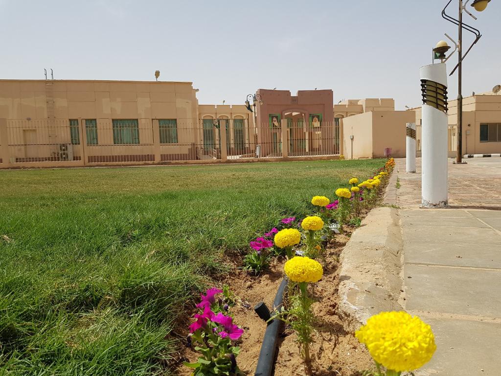 غرس 100 ألف زهرة في حدائق وميادين وادي الدواسر