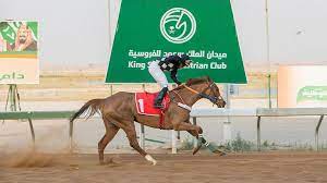 ميدان الملك سعود للفروسية بالقصيم يقيم حفل سباقه العشرين