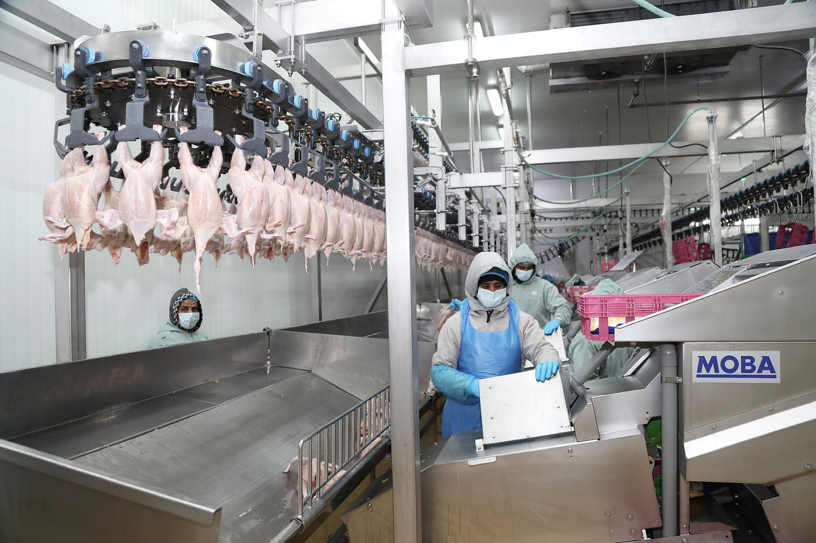 WhatsApp Image 2022-02-07 at 3.07.53 PM