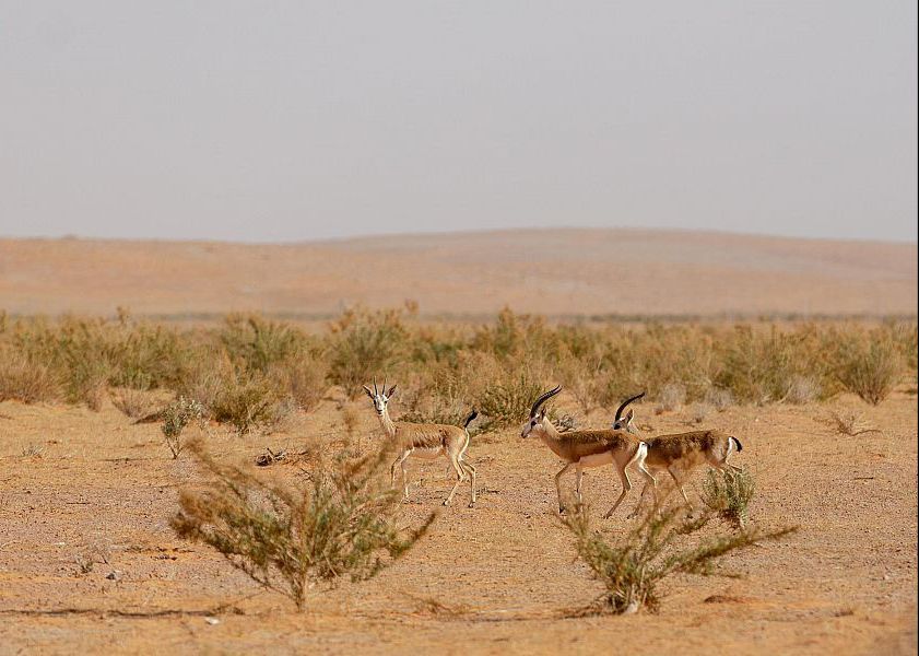 WhatsApp Image 2022-02-08 at 8.25.01 PM