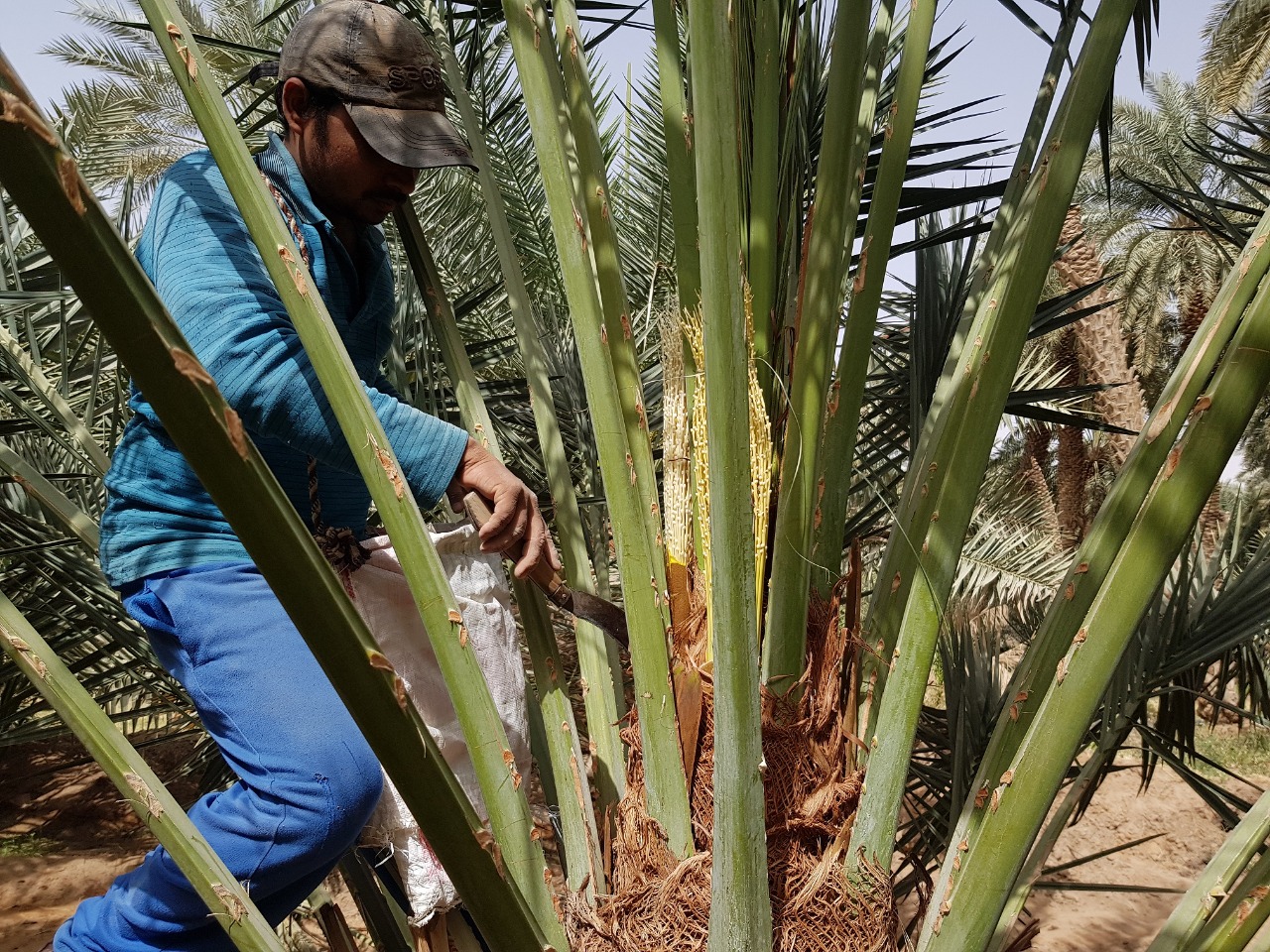 WhatsApp Image 2022-02-12 at 2.41.12 PM(1)