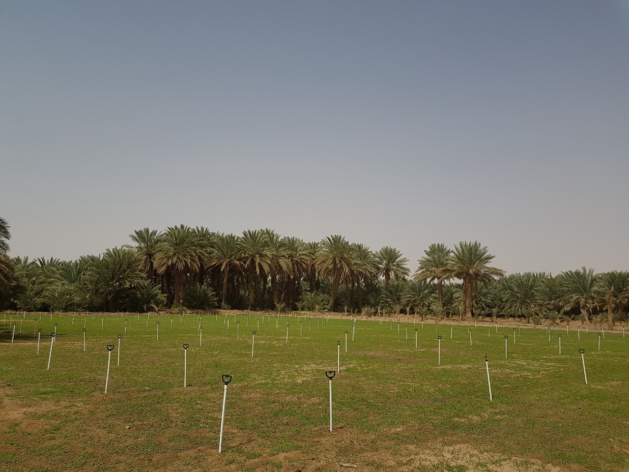 WhatsApp Image 2022-02-12 at 2.41.13 PM