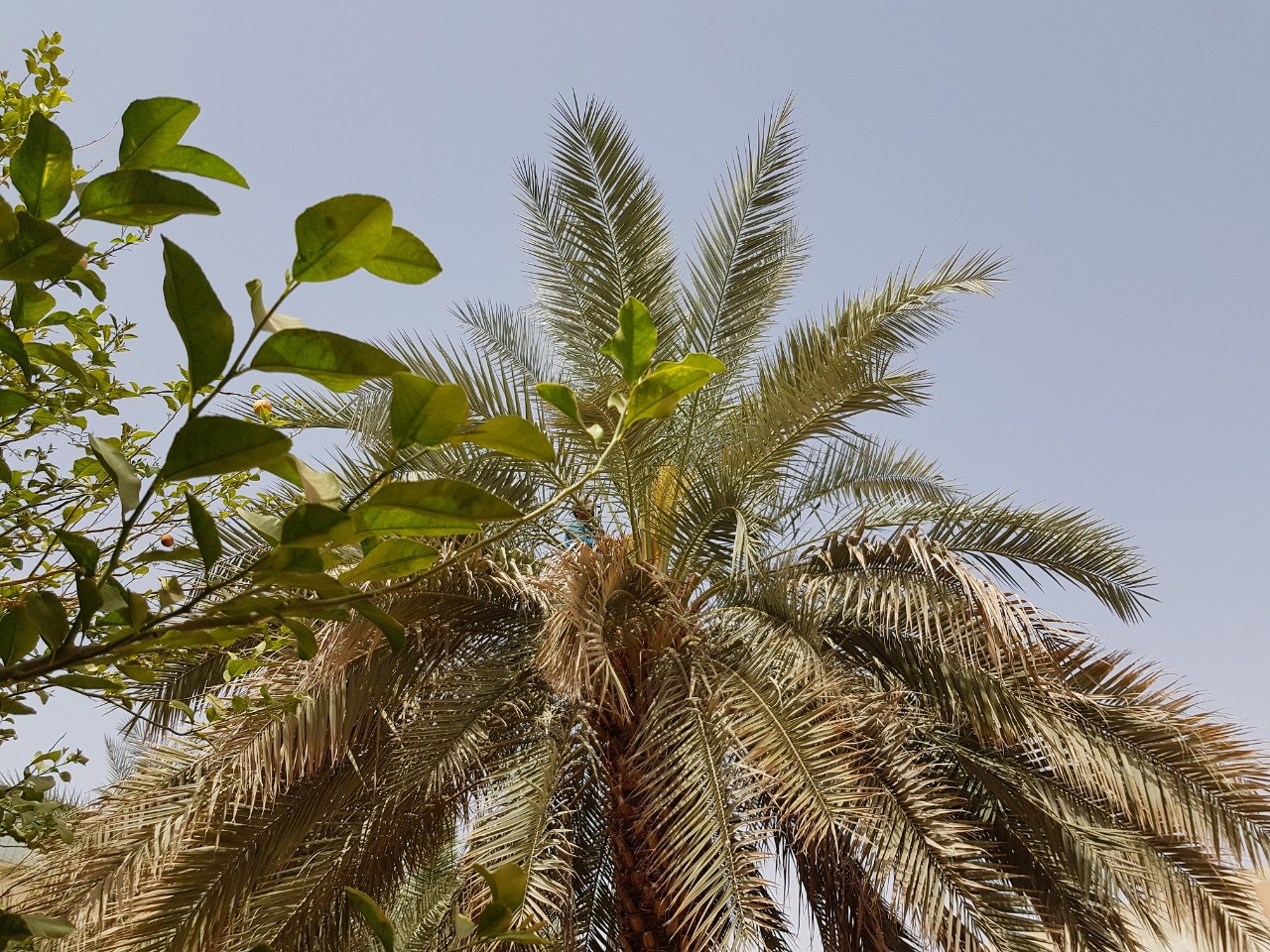 WhatsApp Image 2022-02-12 at 2.41.13 PM(1)