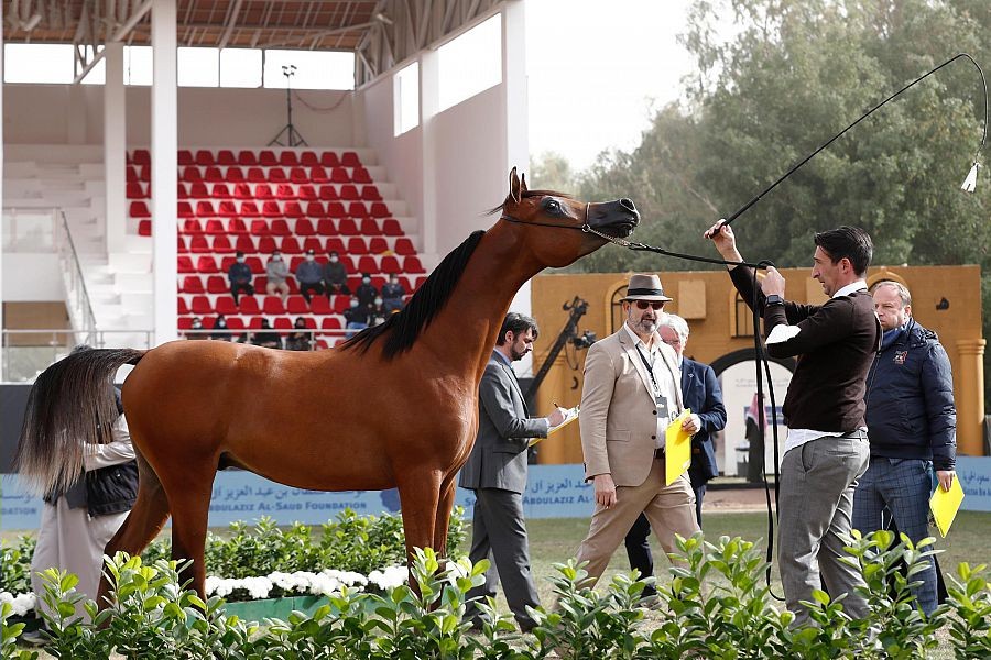 WipeOut08_29_2022_030821.108000