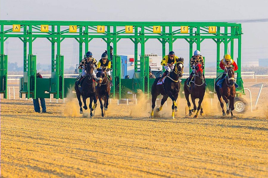 ميدان فروسية الجبيل يُقيم حفل سباقه الخامس