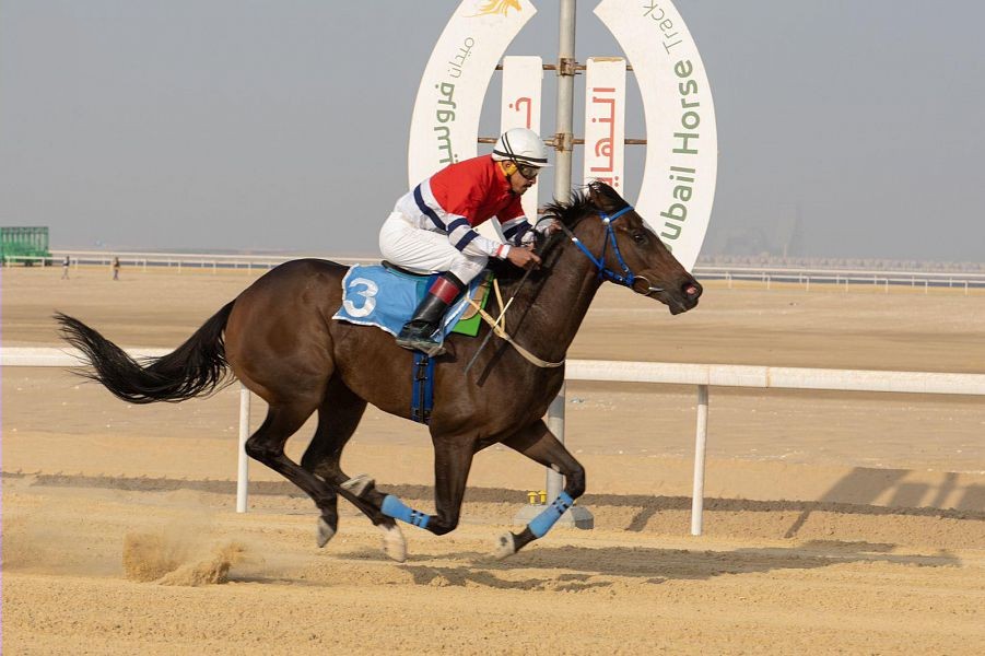 WipeOut24_11_2021_052419.857000