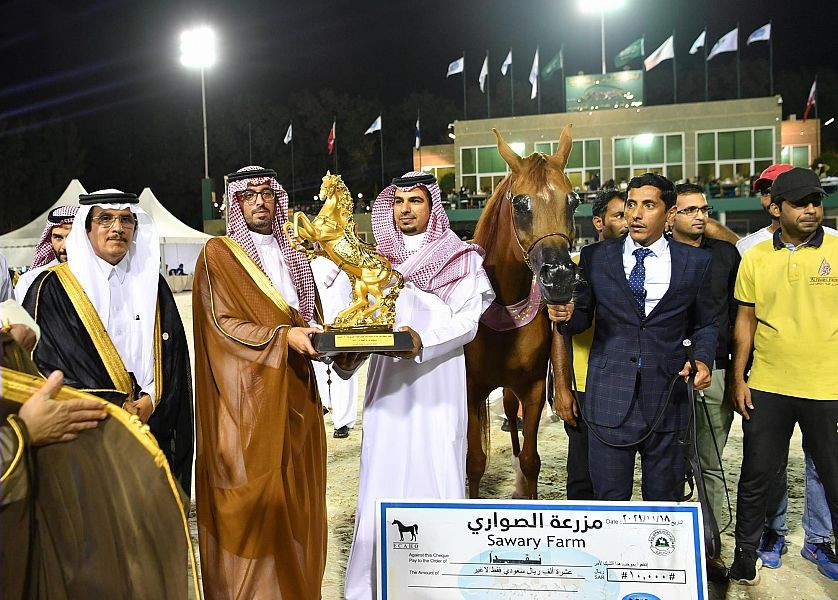 WipeOut41_21_2021_084122.739000