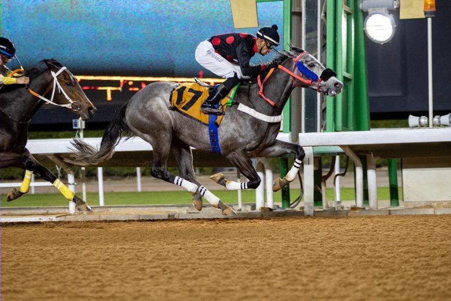 WipeOut47_06_2022_034759.104000