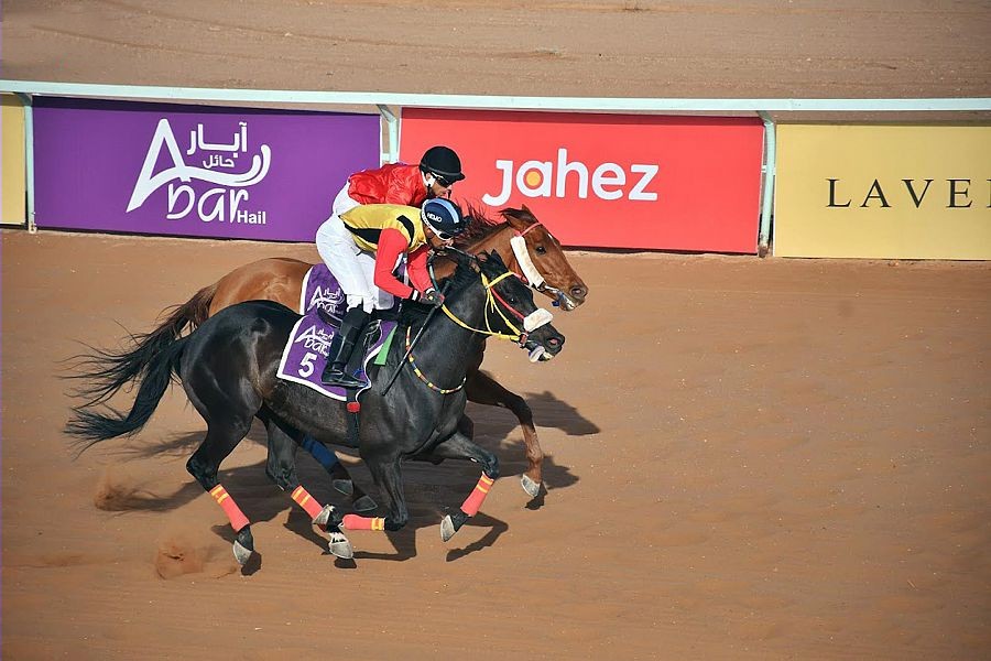 فروسية حائل تقيم حفل سباقها التاسع عشر