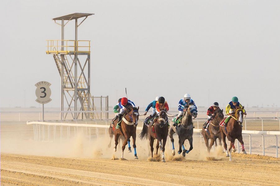 ميدان فروسية الجبيل يقيم السباق الثاني للموسم الحالي ١٤٤٣هـ