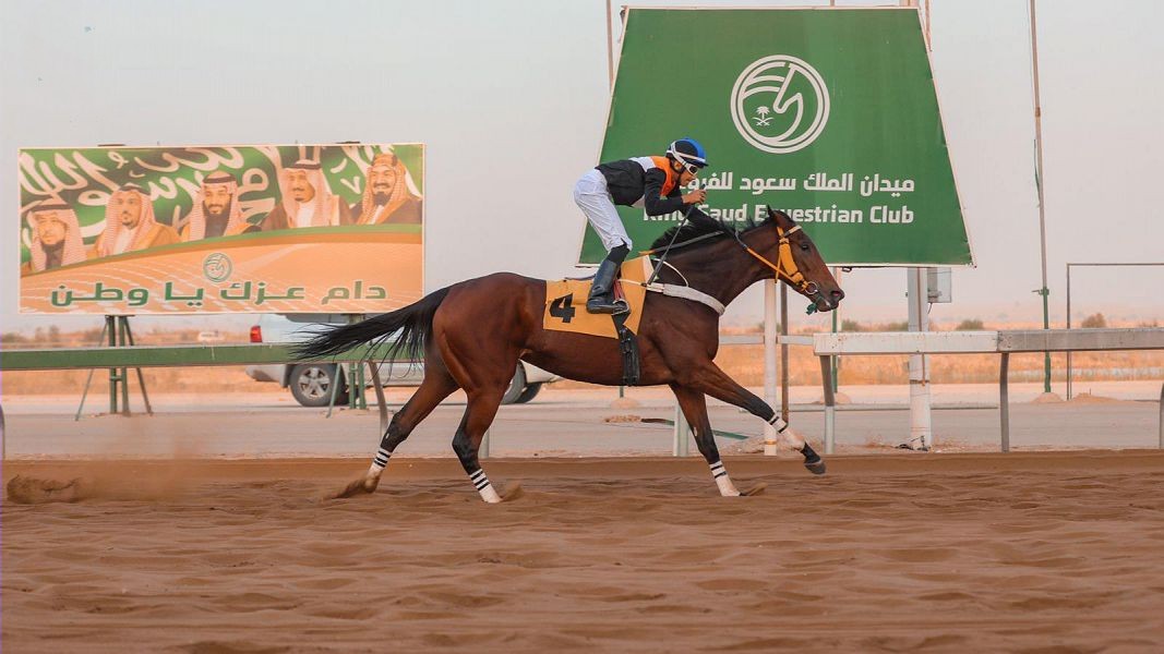 ميدان الملك سعود للفروسية بمنطقة القصيم يقيم حفل سباقه الثامن