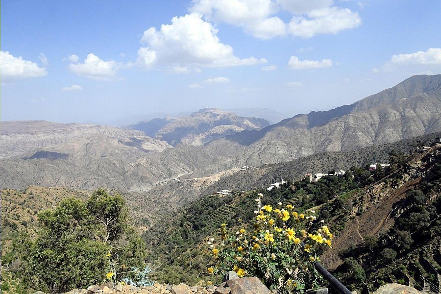 WipeOut57_30_2021_115729.162000